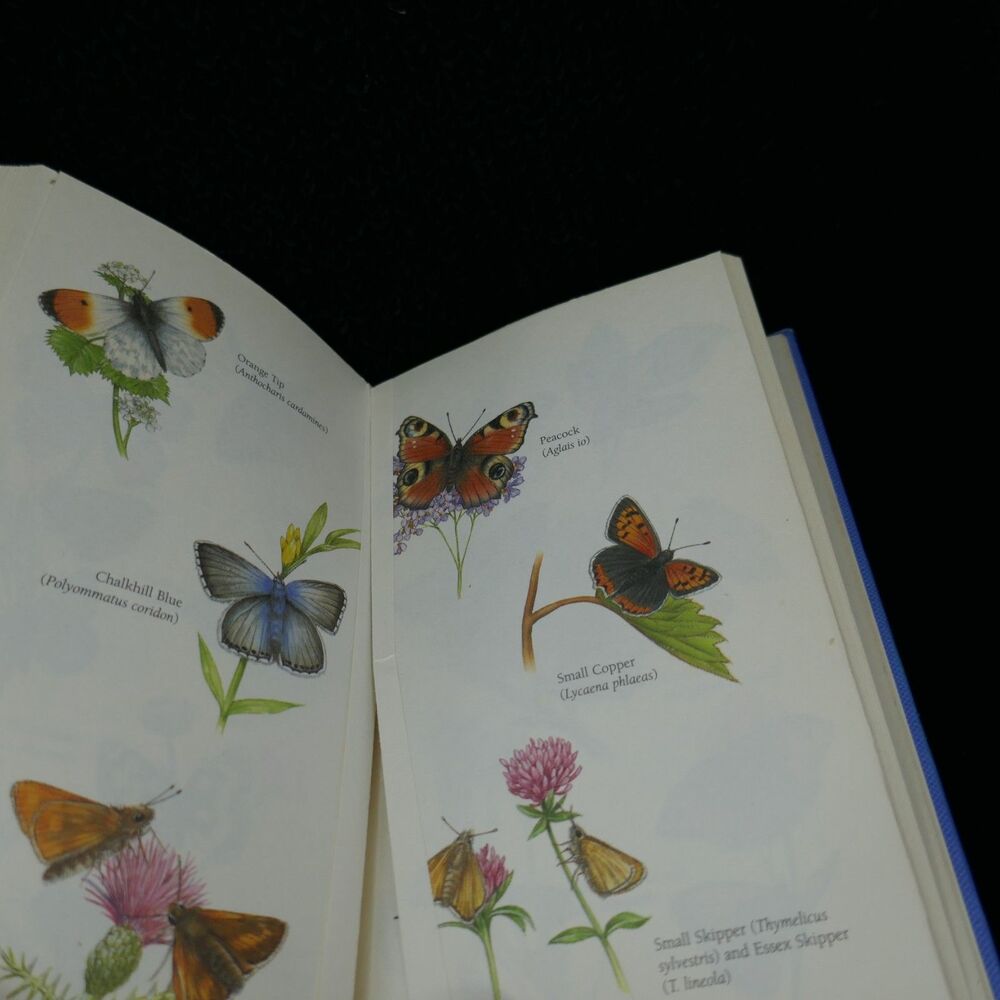 Butterflies: Spotting and identifying Britain's by Matthew Oates Hardcover Book - Picture 10 of 10